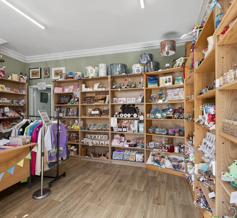 a store with a variety of items in the store