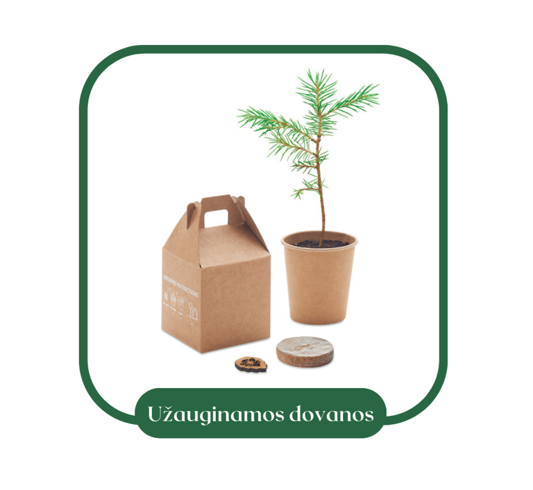 Ekologiškos užauginamos dovanos, augalai, sodinimo rinkiniai | ecogifts.lt