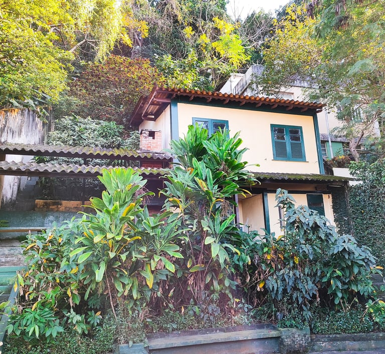 a house with a large garden and a large tree