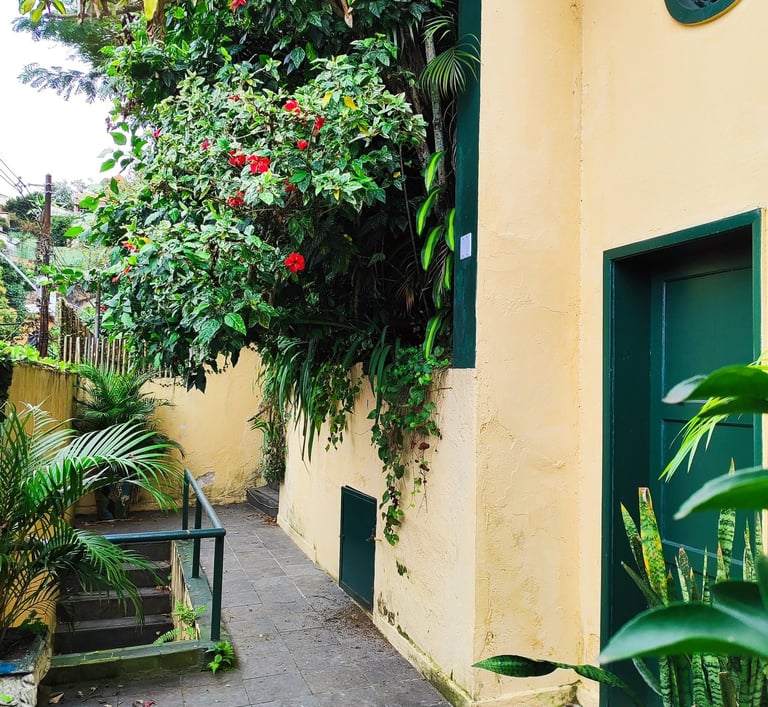 a narrow alley with a green door and a green door