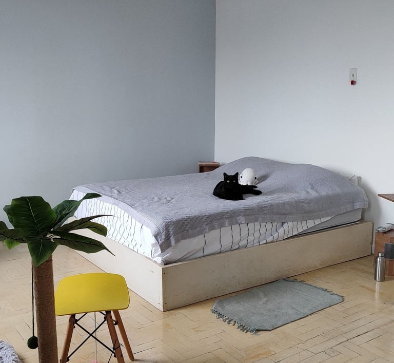 a cat laying on a bed in a room