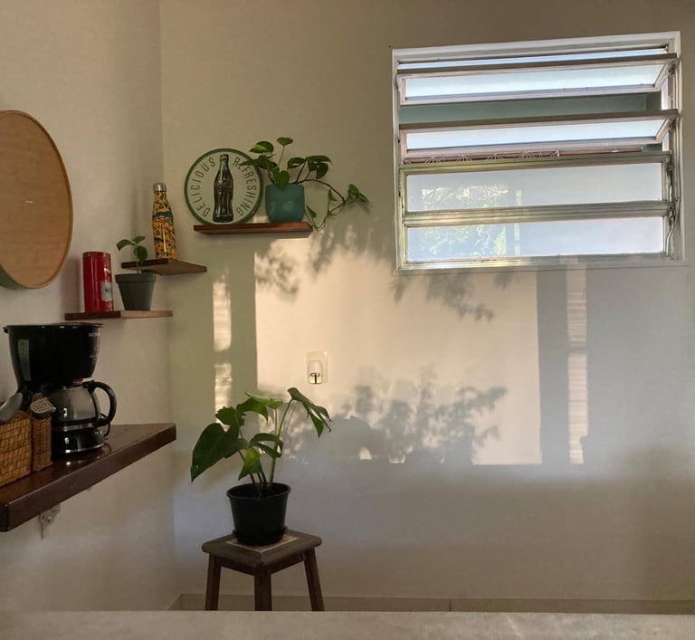 a kitchen with a potted plant in the middle of the room