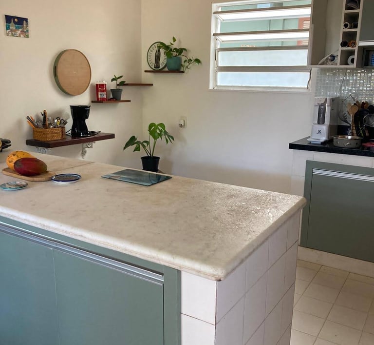 a kitchen with a counter top and a potted plant