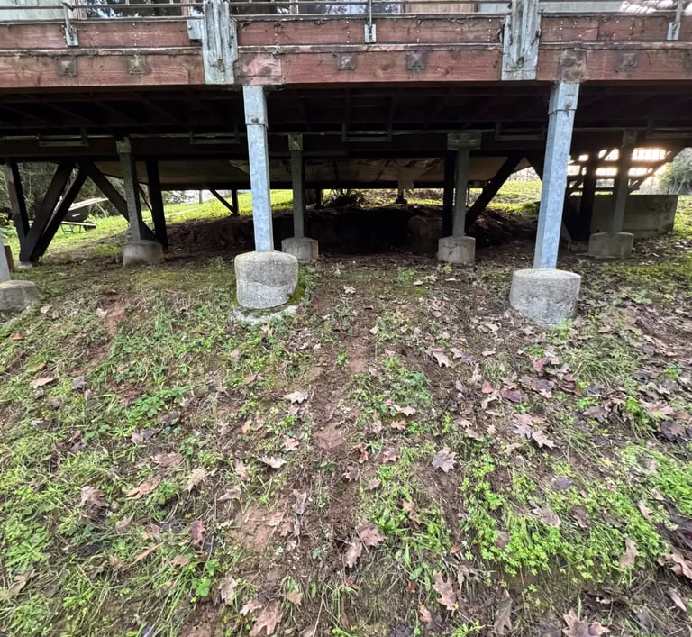 after wood pile clean up under property