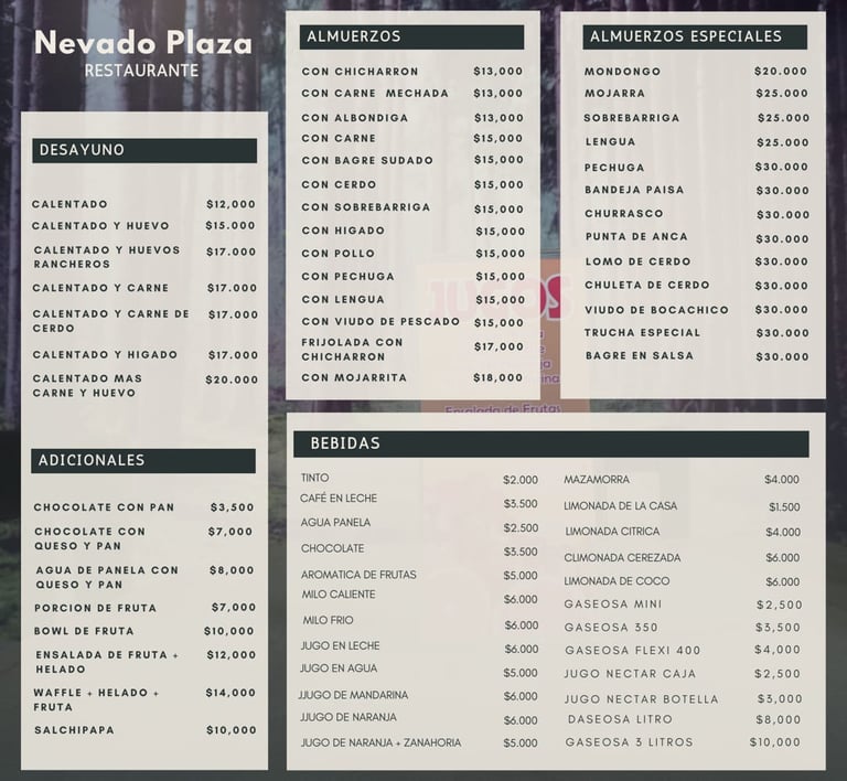 Menú Restaurante Nevado Plaza 