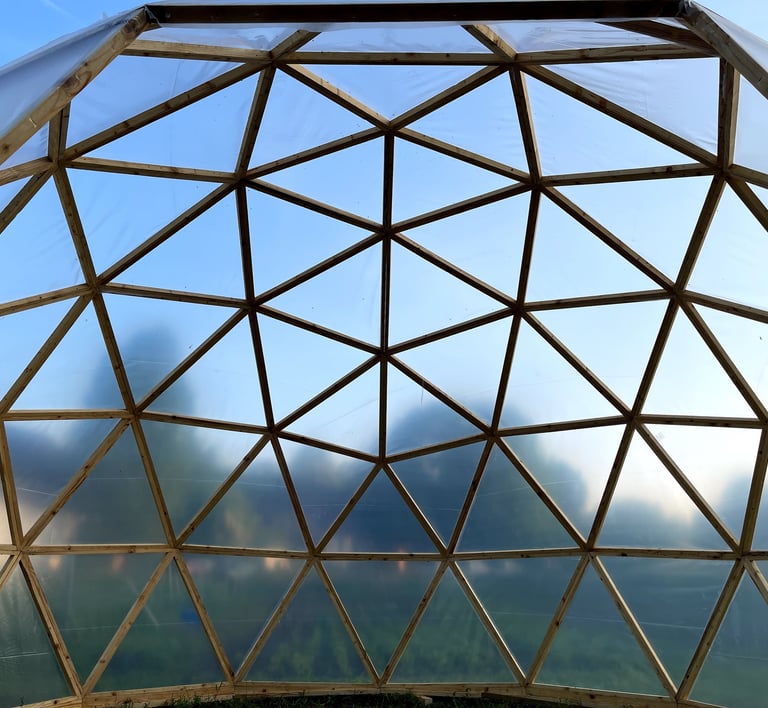 Innenansicht eines Geodom Gewächshauses der die einzigartige Geometrie zeigt