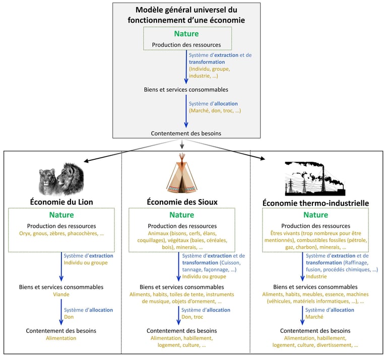 Schéma présentant la définition universelle de l'économie et sa déclinaison en trois exemples