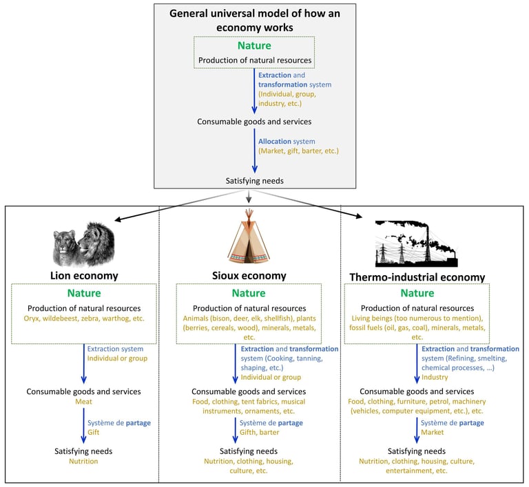 Diagram presenting the universal definition of the economy and illustrating it with three examples