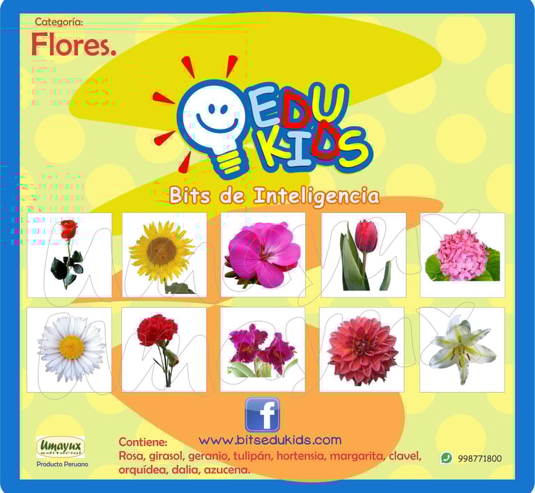 a picture of a bunch of flowers in a flower shop