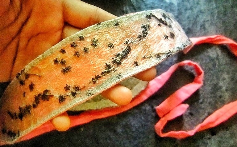 Recycled plastic hair band in the hand 