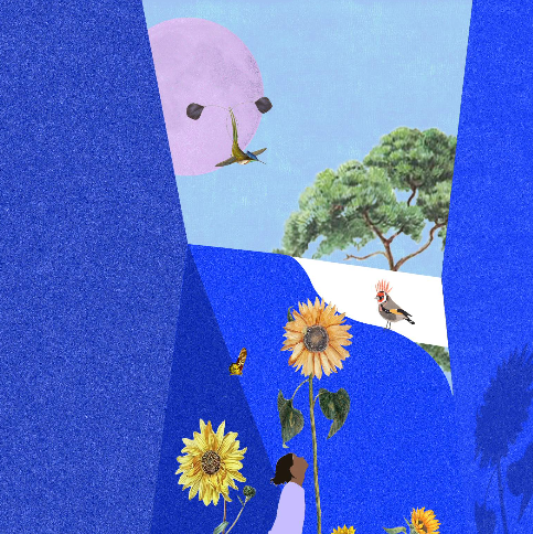 Projet architecture ECOLE