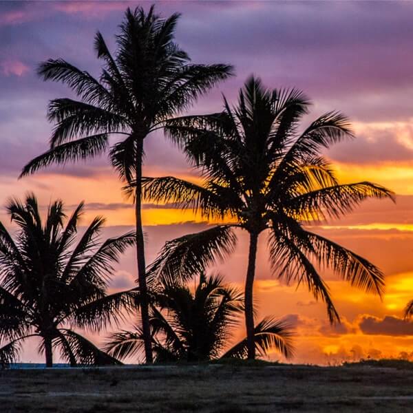 Trusted Auto Transport Broker | Hunter and Hunter Enterprises | Hawaii Transport