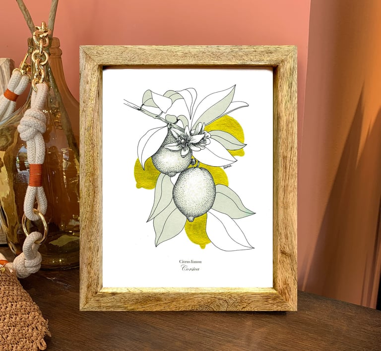 illustration citron de corse avec cadre bois et verre de protection sur une commode en bois