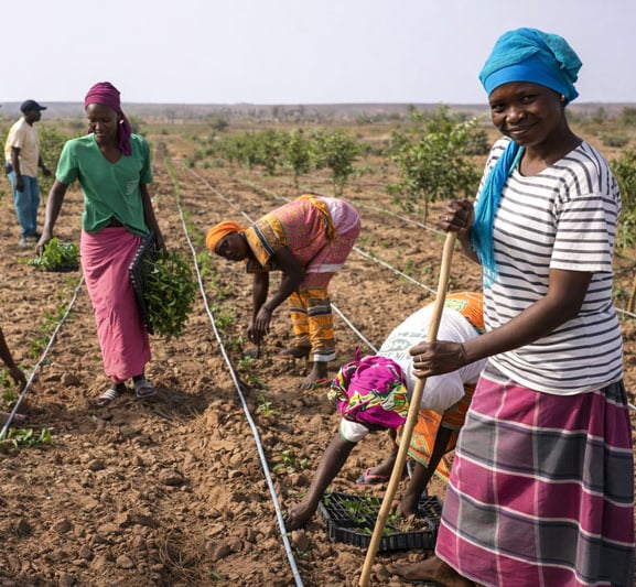 a group of people working in a field