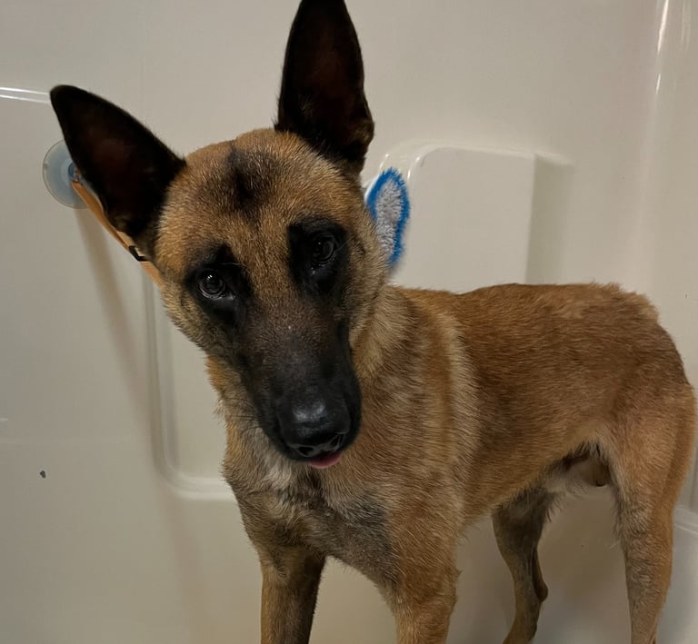 bath