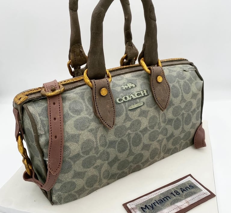 gâteau sculpté , sac à main 