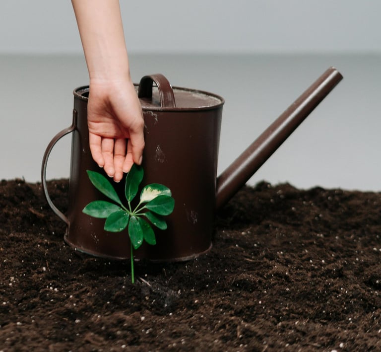 Watering can with young plant on fertile soil
