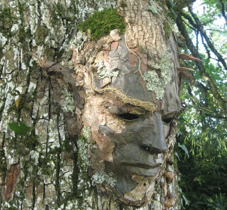 Masque d’écorce photographié en forêt, sculpture contemporaine de Samuel Chazot
