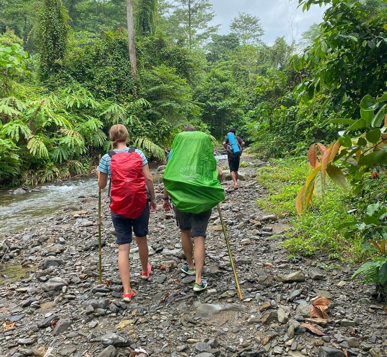 Sumatra Trip