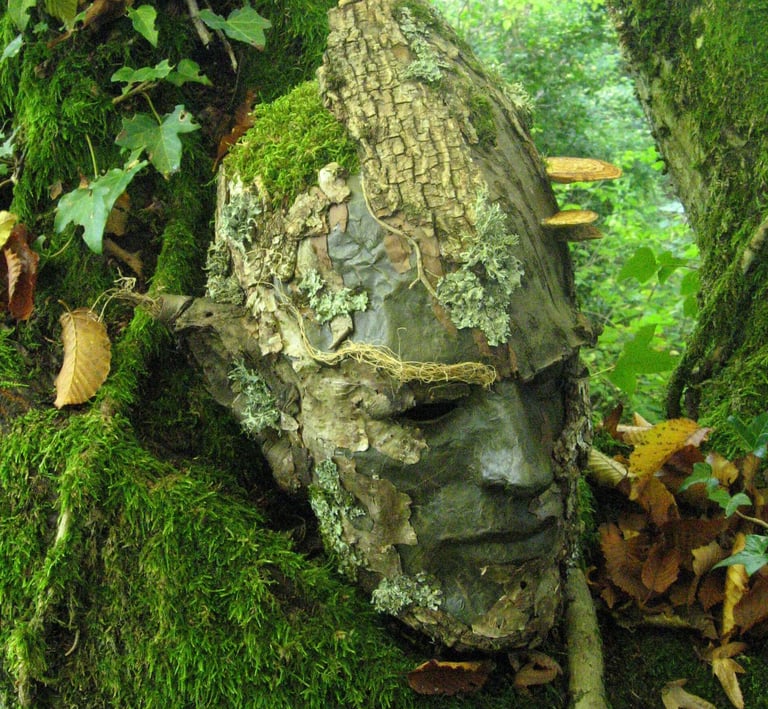 Masque d’écorce photographié en forêt, installation vivante de Samuel Chazot
