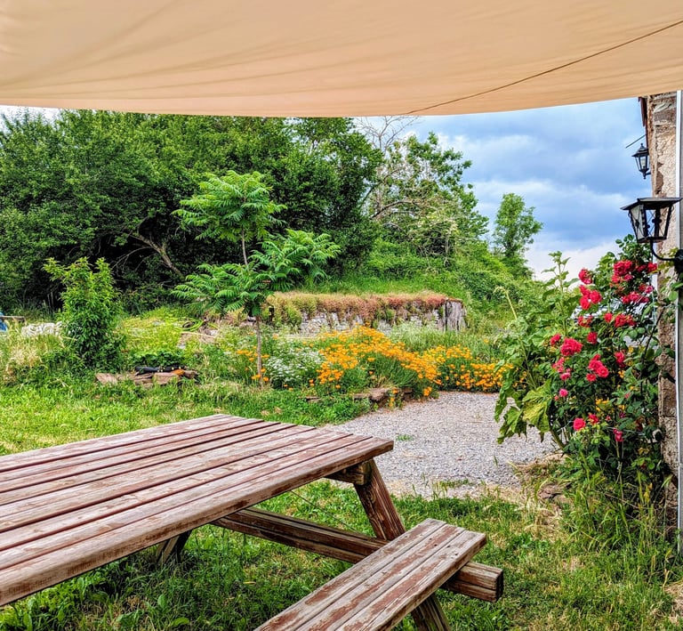 table de pique nique en bois à l'ombre d'une toile