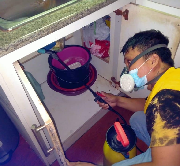 Professional pest control worker spraying pesticide under a kitchen sink using a respirator mask.