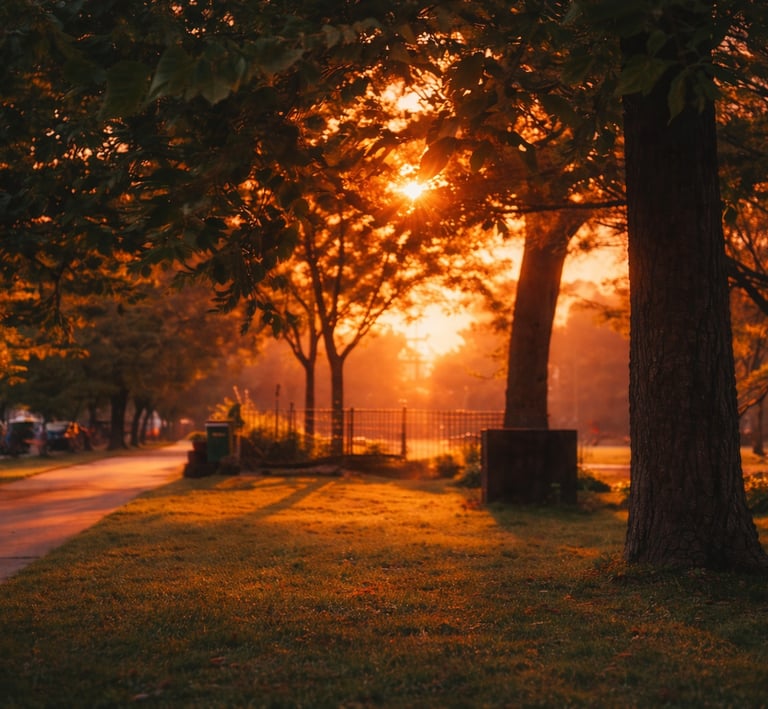 A beautiful peaceful and calm sunset at the park.