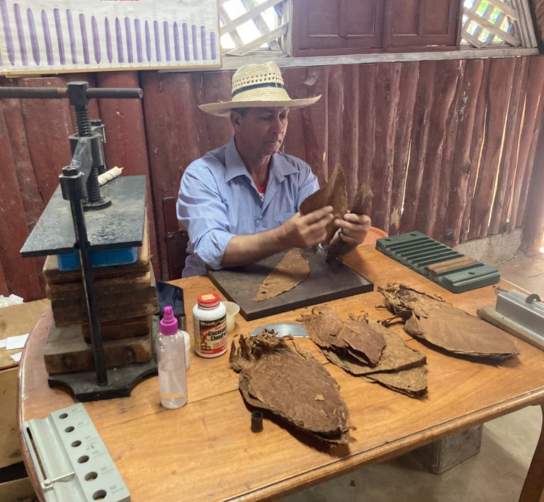 Szivarsodró Vinales völgyben magyar nyelvű idegenvezetéssel