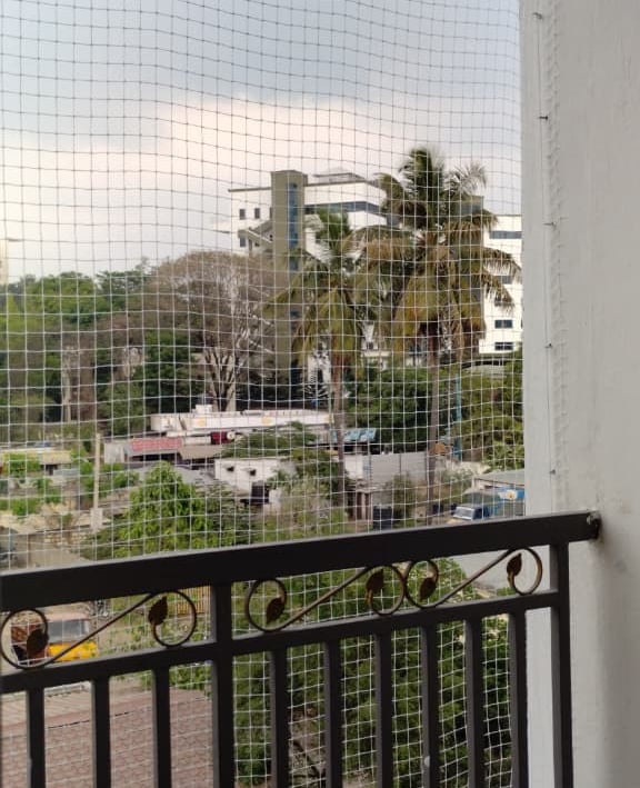 Wide shot of a residential building in Adyar with pigeon safety nets installed on all open windows.