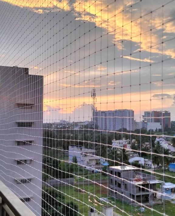 Technician carefully fitting a pigeon safety net around window frames to ensure full coverage.