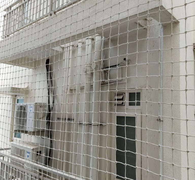 Installation team fitting pigeon nets on a commercial property along OMR, Chennai, demonstrating pro