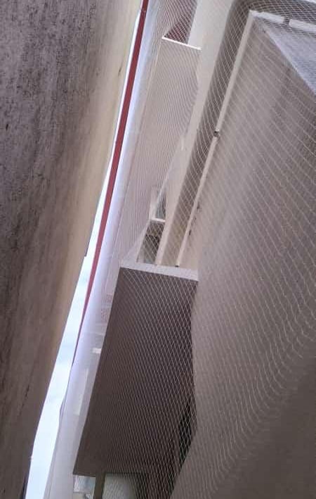 A clean and pigeon-free balcony space in a Velacherry apartment thanks to the discreet net installat