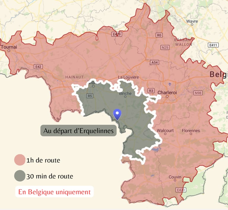 Déplacement dans le Hainaut pour des séances d'ostéopathie pour chiens, chats, chevaux, vaches, NAC