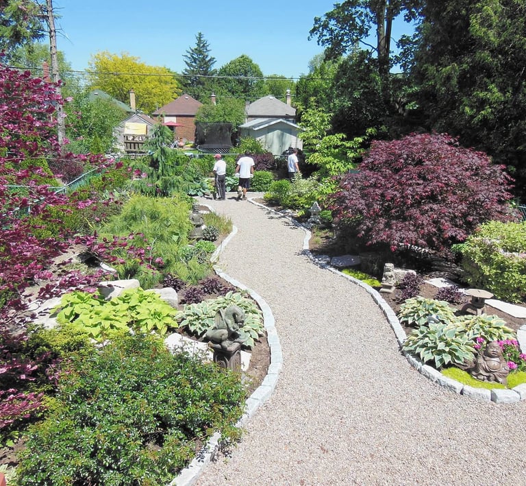Curving gravel garden path winding through lush landscaping with Japanese maples and hostas.