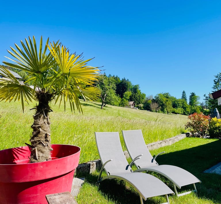 jardin et vue Mont Blanc