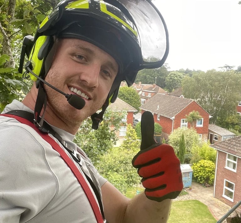 dan from tree cut services giving a thumbs up