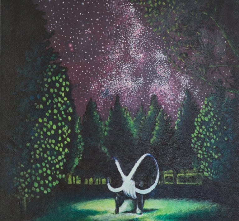 Image of light dancing on a starry night.