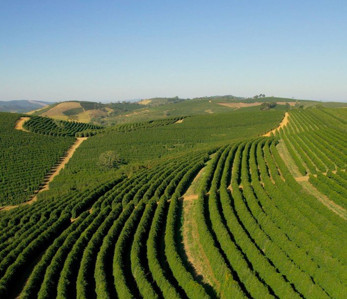 Fazenda onde é produzida o café Dicoffee