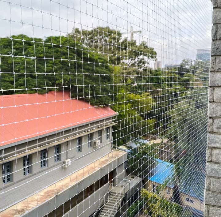 anti pigeon nets in indira nagar