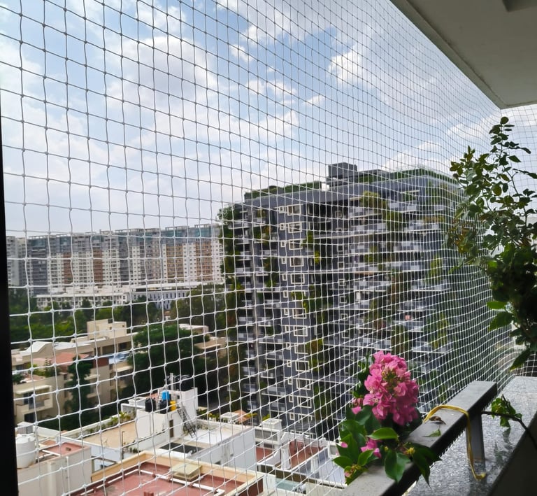 safety nets in whitefield