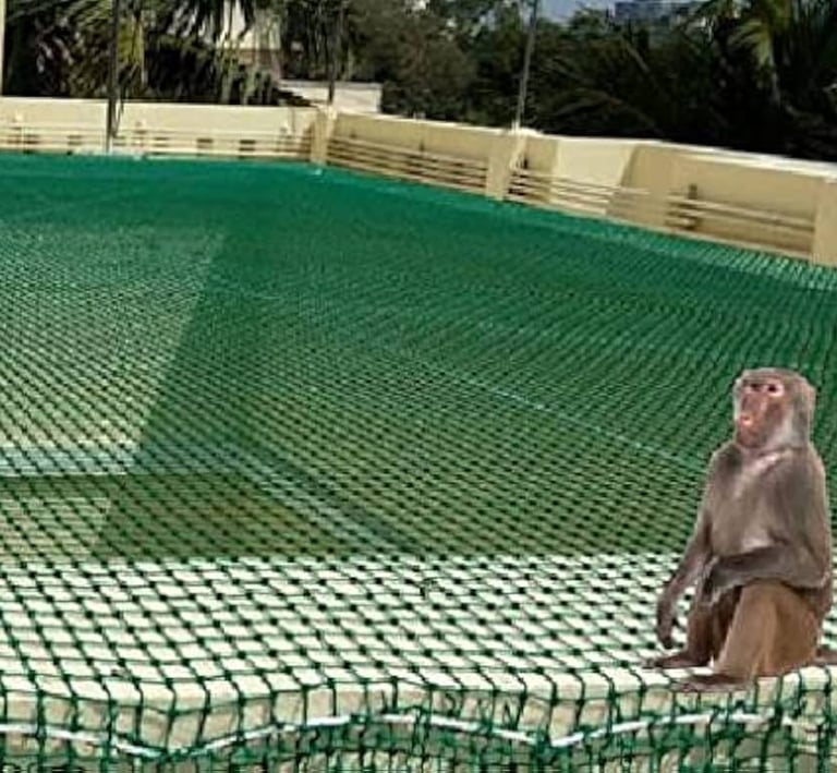 Quality Monkey Nets in Bangalore