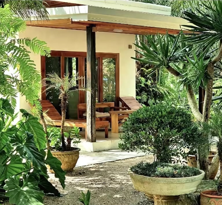 Experience thailands beach bungalows. Paradise, beach, coconut, thailand