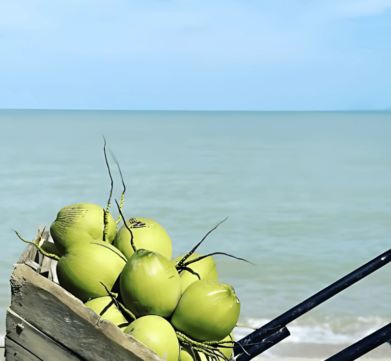 Experience thailands beach bungalows. Paradise, beach, coconut, thailand