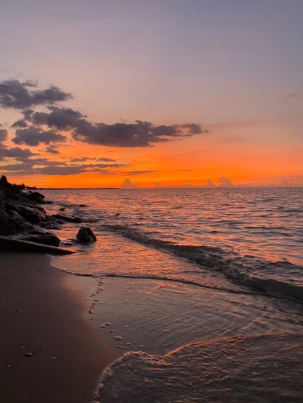 Experience thailands beach bungalows. Paradise, beach, coconut, thailand