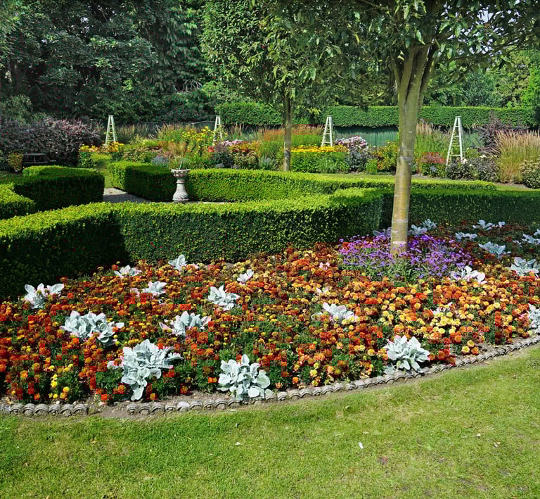 Array of bright flowers in a large garden