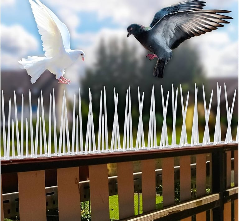 Bird spikes installed along a rooftop edge to prevent pigeons from landing.