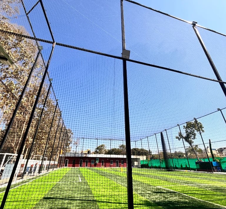 A wide shot of a cricket practice net set up in a sunny backyard.