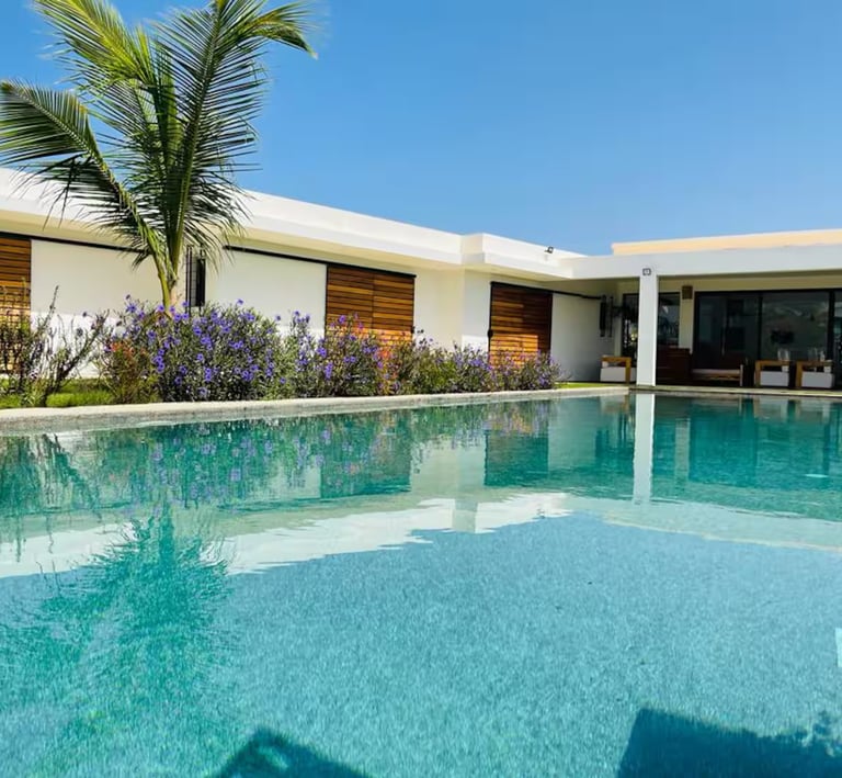 a pool with a palm tree and a palm tree