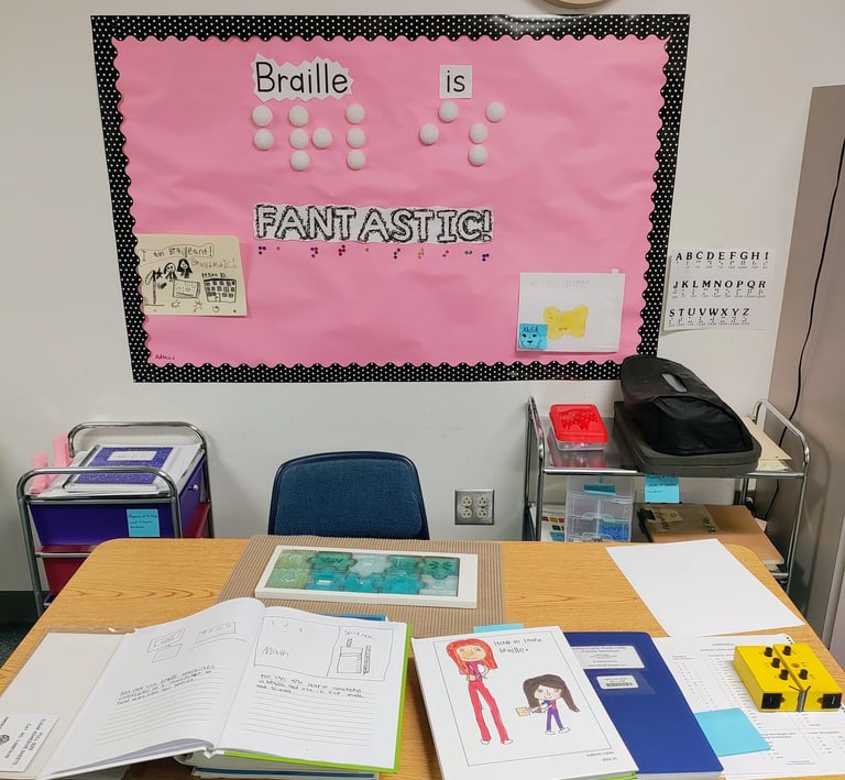 educational pull-out setting, classic VI setup, special education
