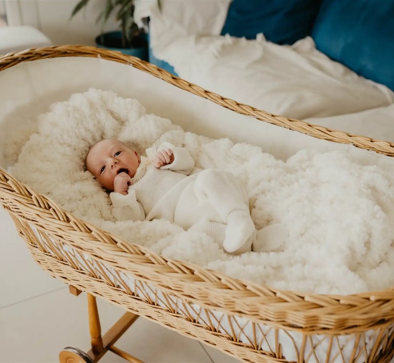 Photographe naissance - Papa Ours Photo